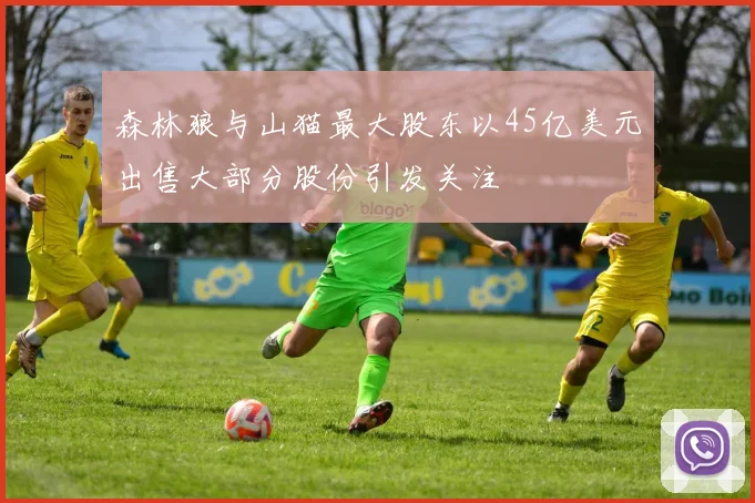 森林狼与山猫最大股东以45亿美元出售大部分股份引发关注